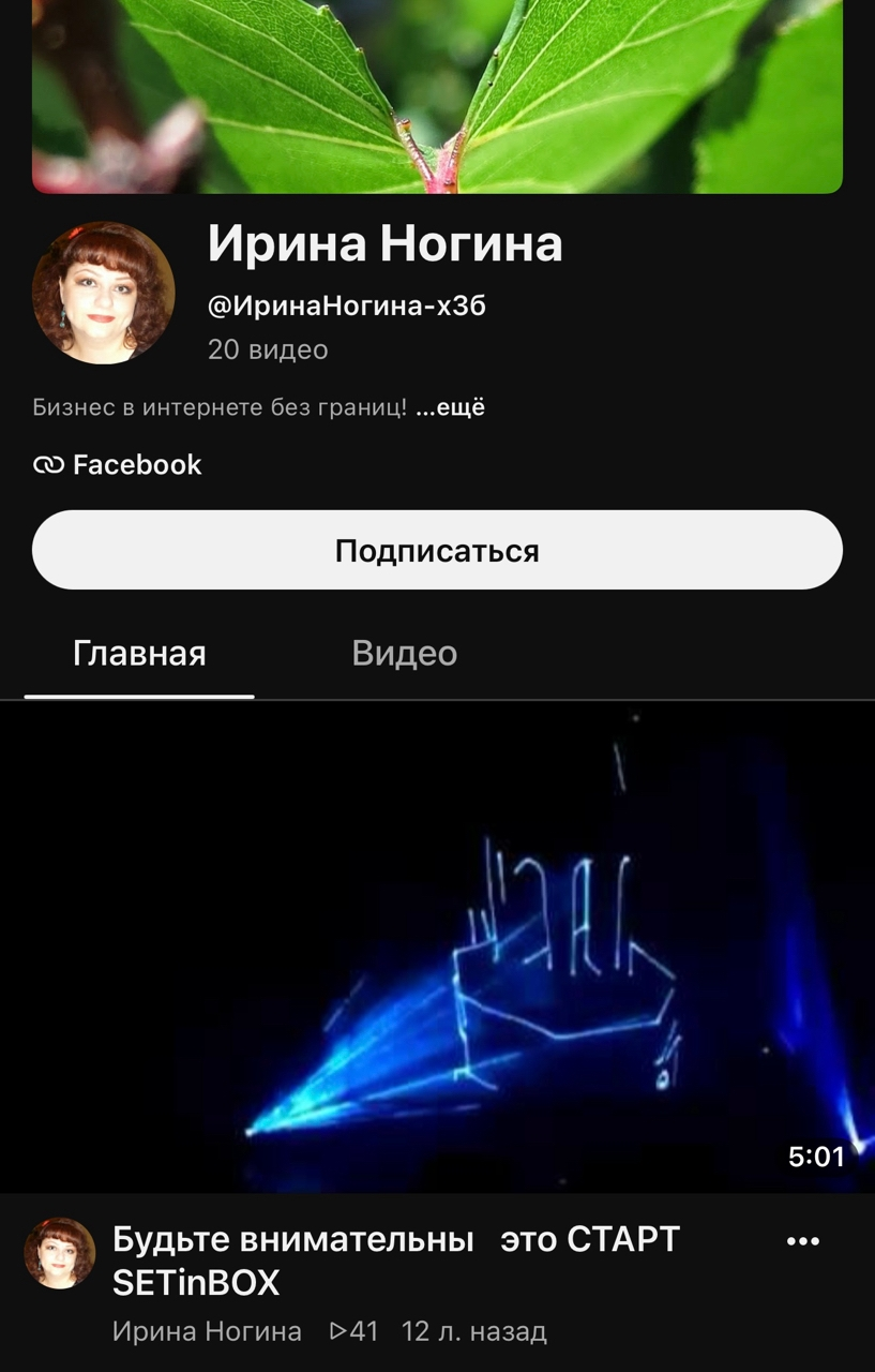 ирина ногина продвижение ирина ногина продвижение