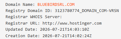 как вывести деньги с Bluebirdsrl как вывести деньги с Bluebirdsrl