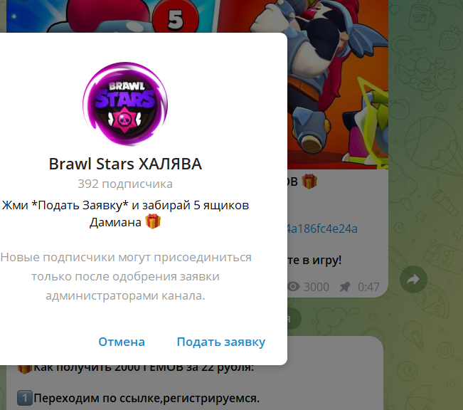халява бс с тик тока халява бс с тик тока