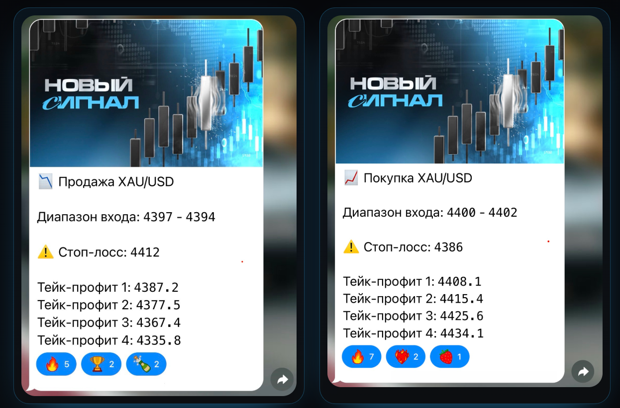 королевство форекса королевство форекса