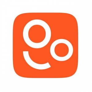 Околоофициалы