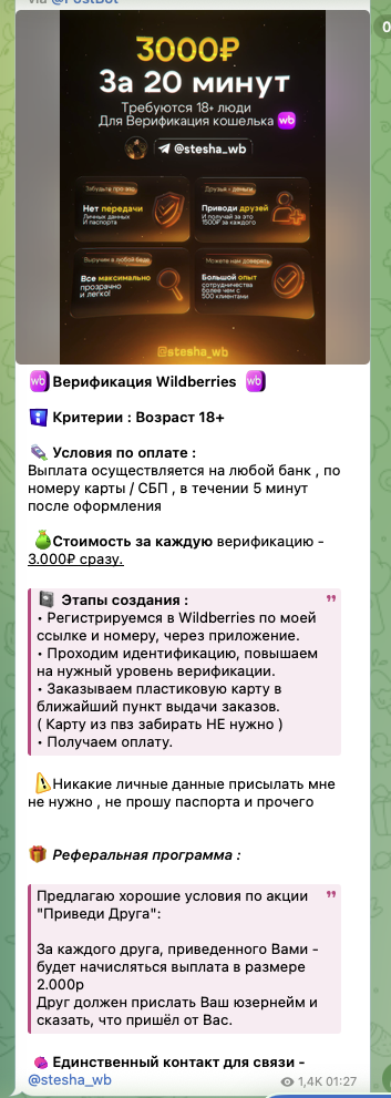 stesha wb stesha wb