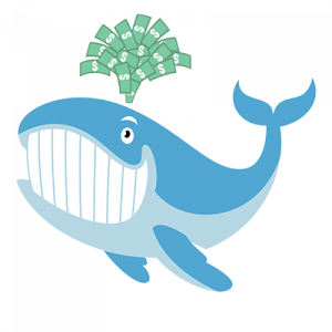 Unusual Whales