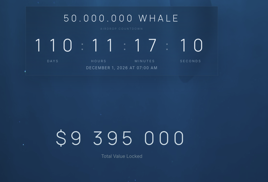 whale cefi whale cefi
