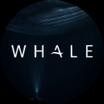 Whale Cefi