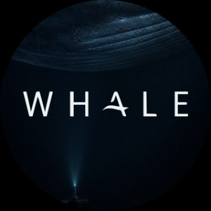 Whale Cefi