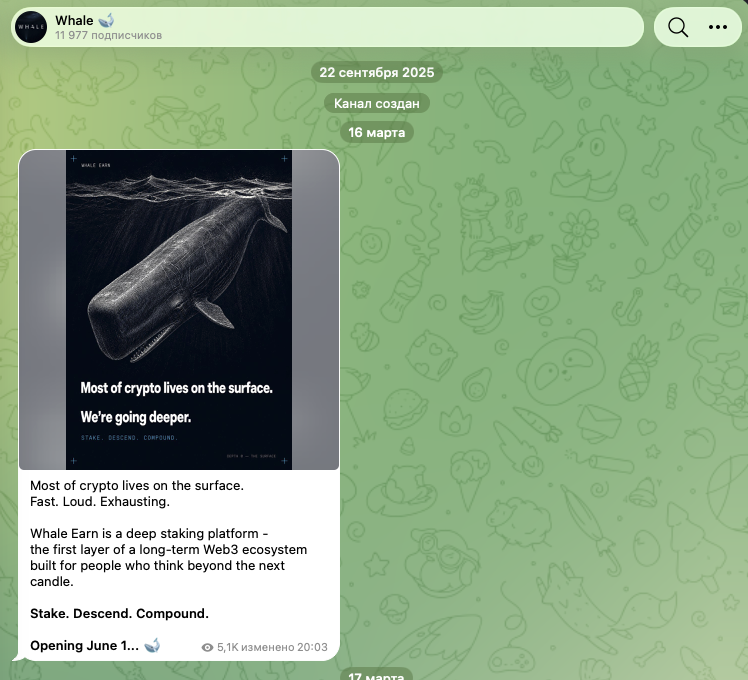whale cefi com обзор whale earn whale cefi com обзор whale earn