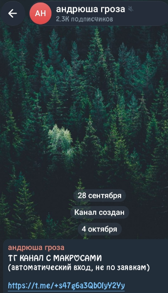 андрюша матрешка ютуб андрюша матрешка ютуб