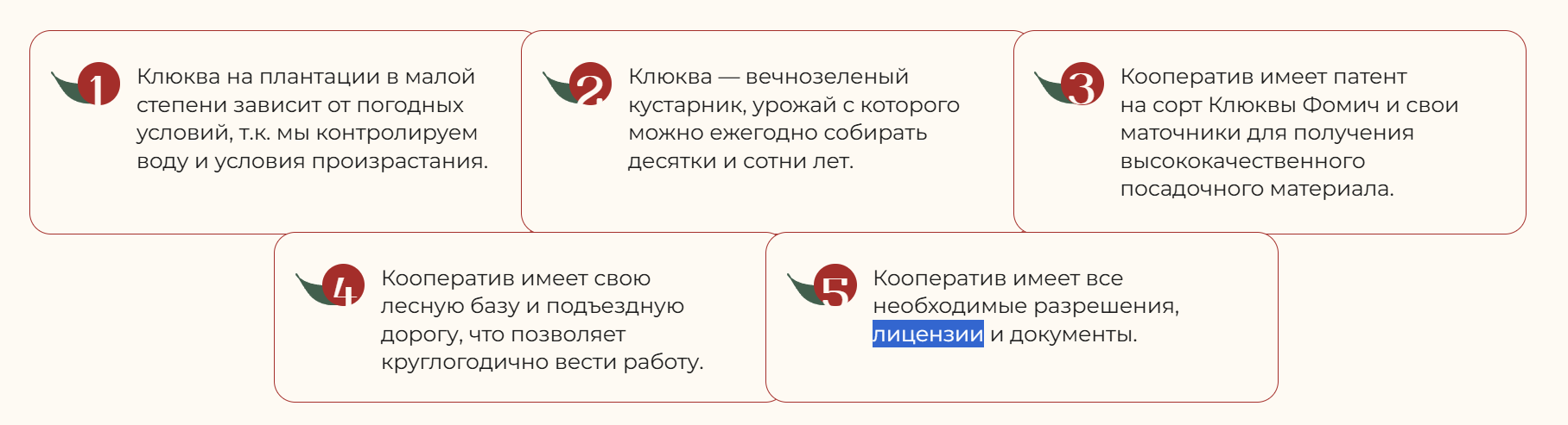 архангельская клюква архангельская клюква