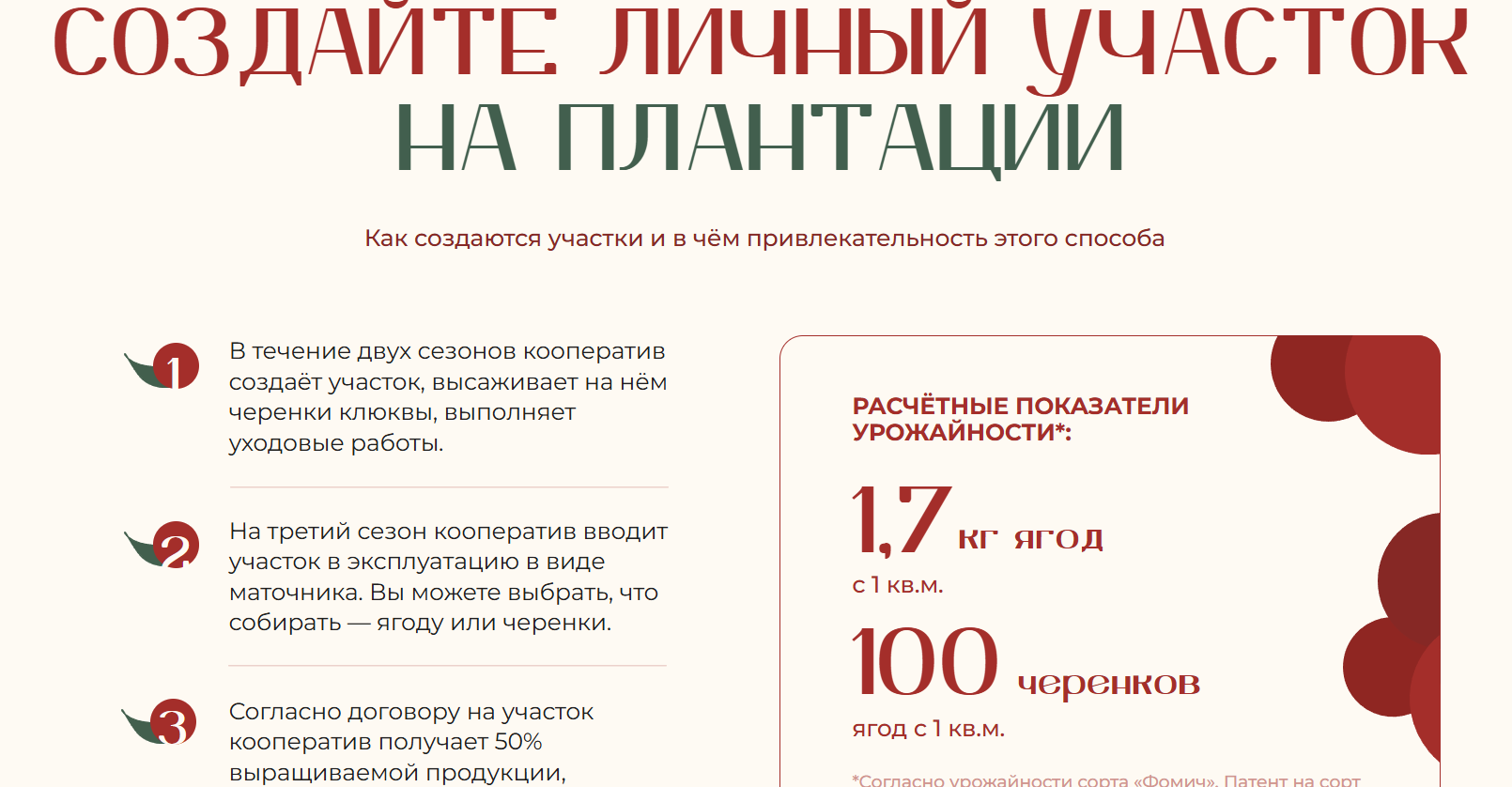 архангельская клюква архангельская клюква