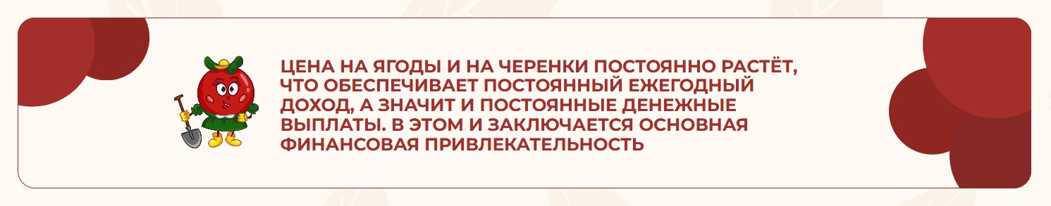 архангельская клюква кооператив архангельская клюква кооператив