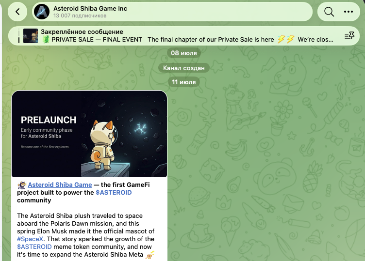 Asteroid Shiba Asteroid Shiba