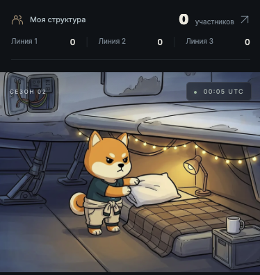 Asteroid Shiba Asteroid Shiba