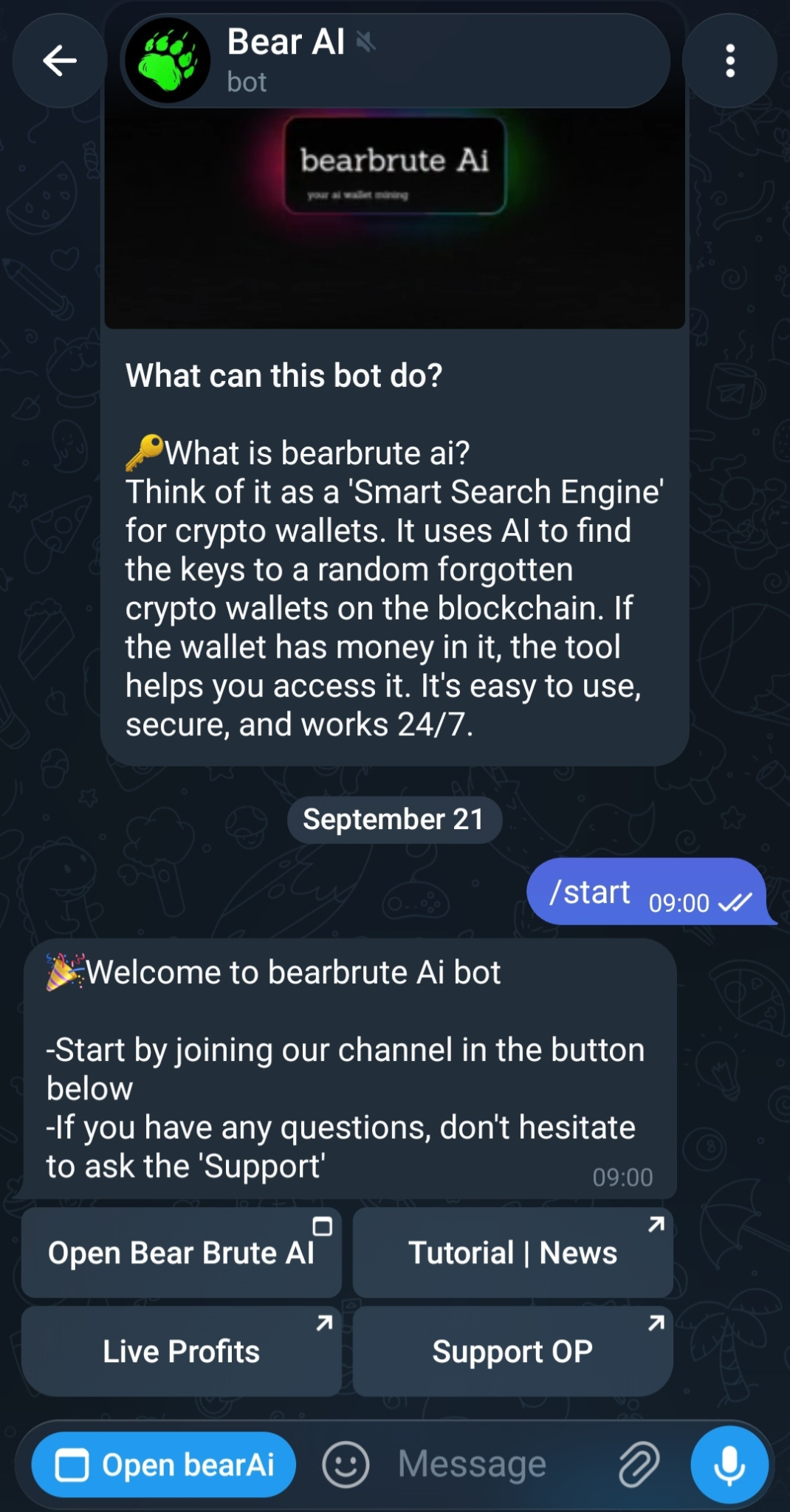 Bear AI Bear AI