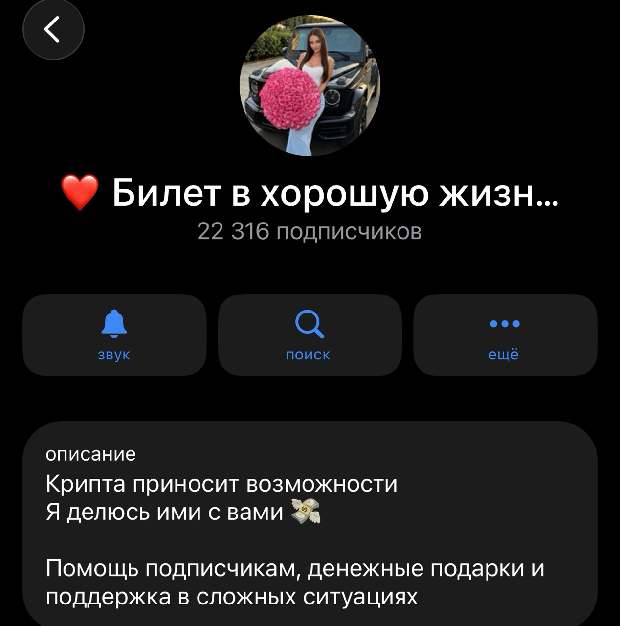 билет в хорошую жизнь тг канал билет в хорошую жизнь тг канал