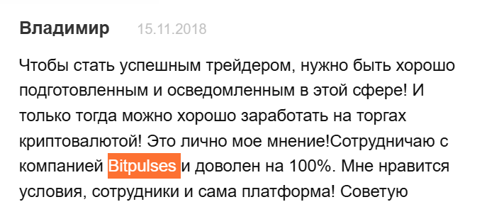 Bitpulses Bitpulses