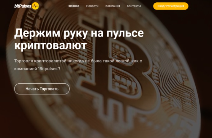 Bitpulses Bitpulses