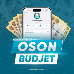 Osonbudget