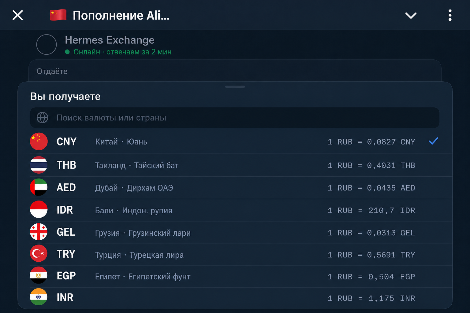 Пополнение Alipay • Обмен Юаней | Hermes Пополнение Alipay • Обмен Юаней | Hermes