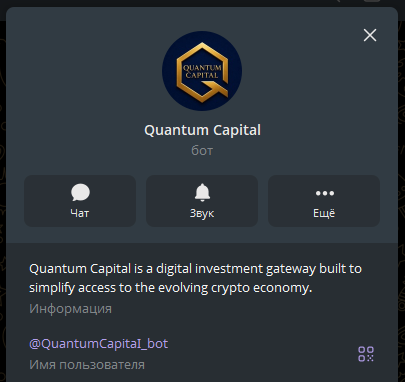 quantum capital quantum capital
