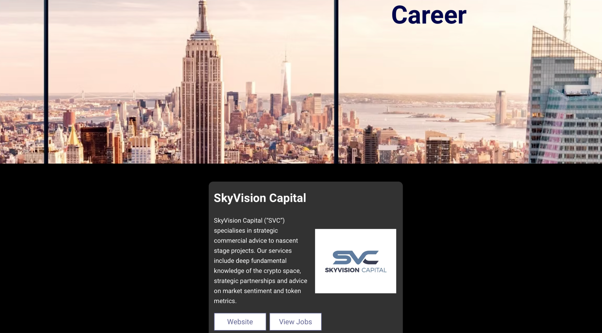 skyvision capital отзывы skyvision capital отзывы