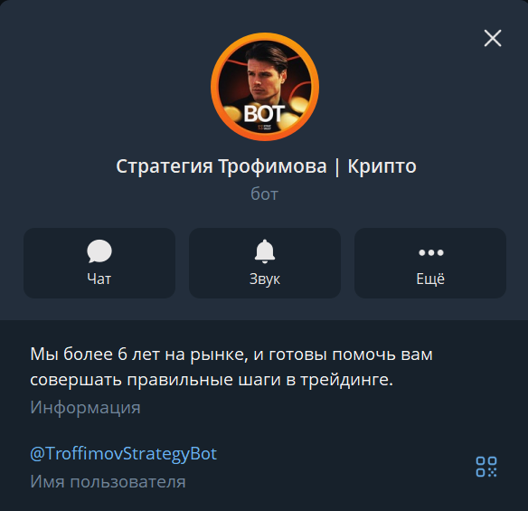 стратегия трофимова стратегия трофимова