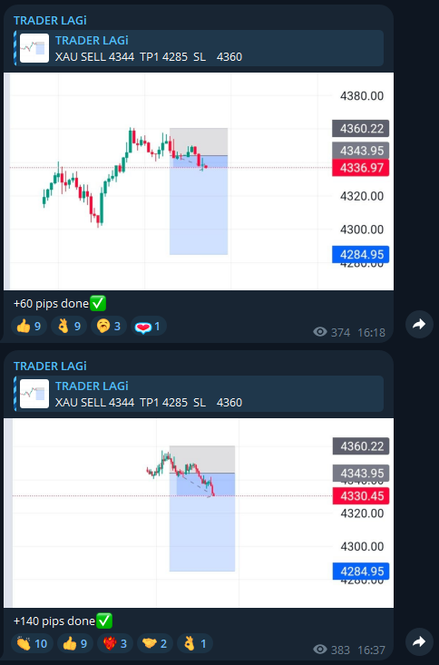 trader lagi отзывы в управлении счет форекс trader lagi отзывы в управлении счет форекс