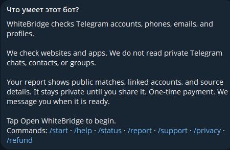 whitebridge ai bot whitebridge ai bot