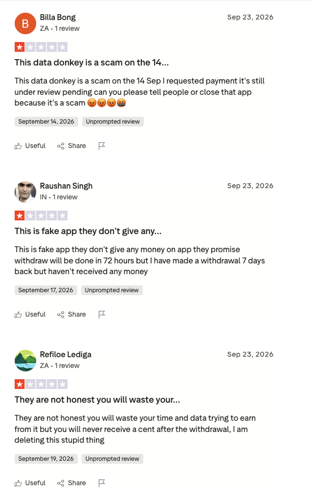 data donkey отзывы data donkey отзывы