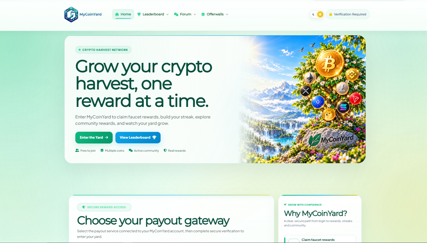 mycoinyard mycoinyard