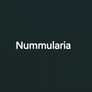 Nummularia