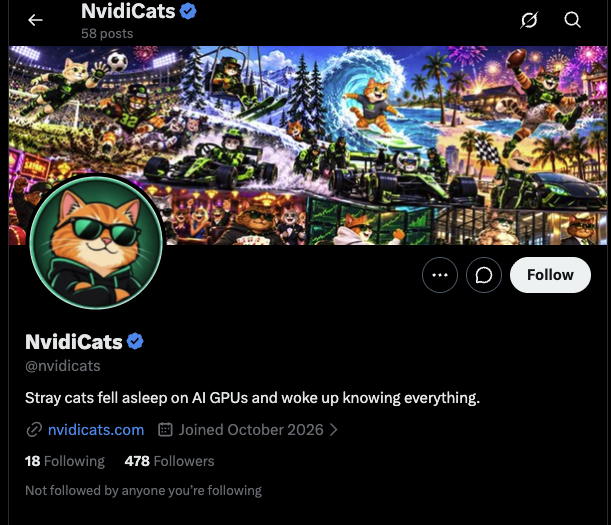 nvidi cats nvidi cats