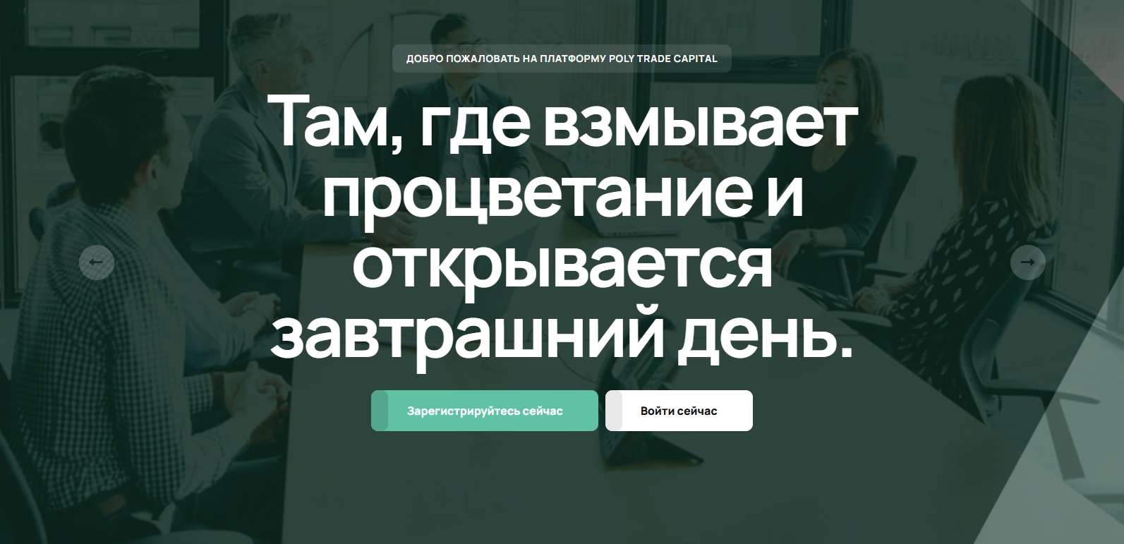 poly trade capital отзывы poly trade capital отзывы