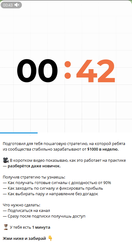 tradinggptneural bot tradinggptneural bot