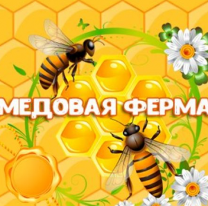 Улей
