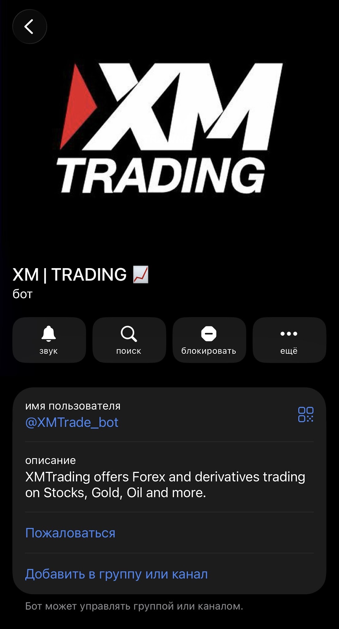 xm trading bot telegram xm trading bot telegram