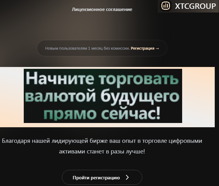xtcgroup vip xtcgroup vip